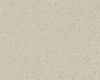 BASIC 100x80