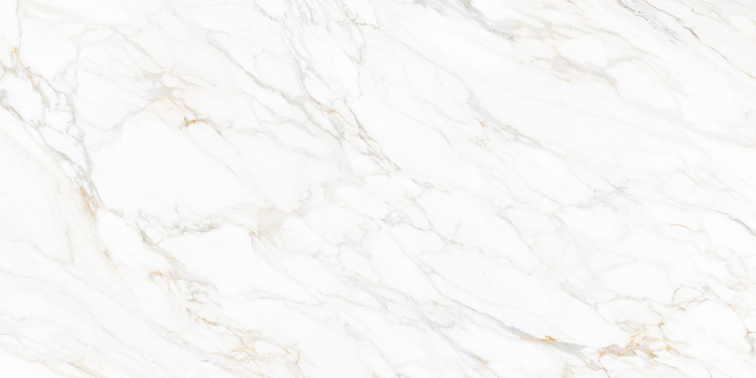 Carrara Gold F1 Scaled E1696561031599